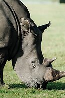 Buff & Fellow Eco Cabins
