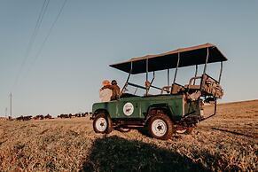 Buff & Fellow Eco Cabins