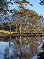 Buff & Fellow Eco Cabins