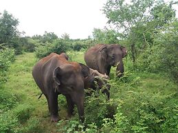 Heaven in Satin Woods Rekawa