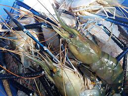 Heaven in Satin Woods Rekawa