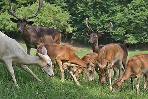 Guesthouse Jelenov Greben