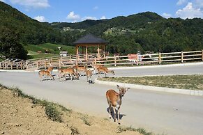 Guesthouse Jelenov Greben