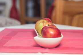 Guesthouse Jelenov Greben