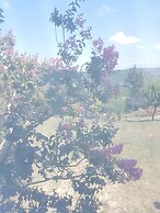 Ağva Stone House Boutique