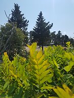 Ağva Stone House Boutique