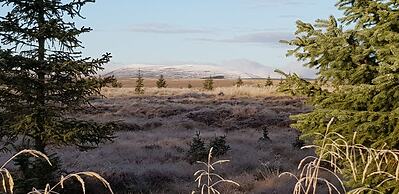 Linn of Avon Holiday Cottages