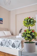 Fix Divine Apartment