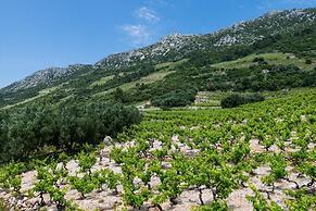 Apartments Villa Dingac - Borak