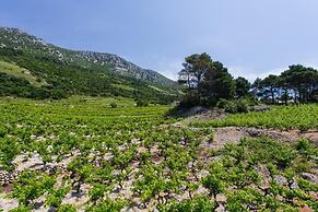 Apartments Villa Dingac - Borak