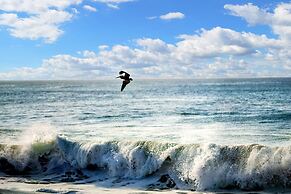 Pedasi Ocean Properties