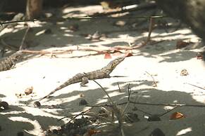 Pedasi Ocean Properties