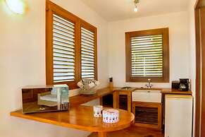 Pedasi Ocean Properties