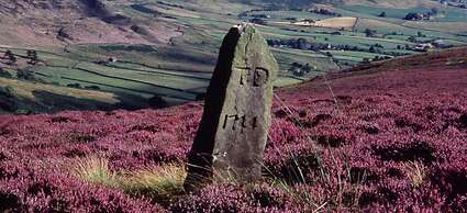 The Crown - Hutton le Hole