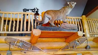 Horsehead Mountain Lodge