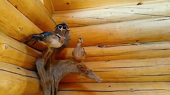 Horsehead Mountain Lodge