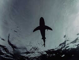 Aqua Marina Guest House