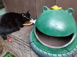 Amami Oshima Guest House Showa-sou - Hostel