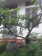 Ninh Binh Village 1990 Homestay - Hostel