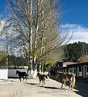 Parador del Alma