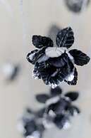 Calvin House Apartments