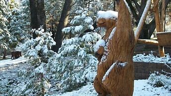 Yosemite Scenic Wonders  Cedar Mountain
