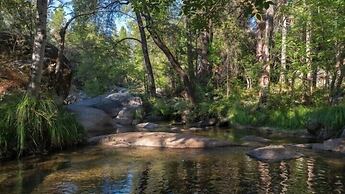 Yosemite Scenic Wonders Sierra Springs