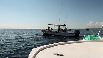 Hotel Hoja de Oro Corcovado