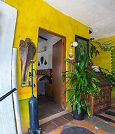 Casa Artista BnB Manzanillo