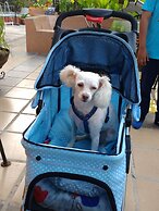 Casa Artista BnB Manzanillo