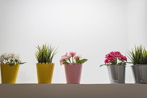 Welcoming Koukaki Home  by Cloudkeys