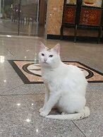 Haedoji Hotel Yangyang