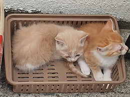 Haedoji Hotel Yangyang