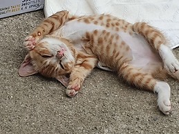 Haedoji Hotel Yangyang