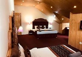 Hotel Hadimba Palace Manali