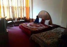 Hotel Hadimba Palace Manali