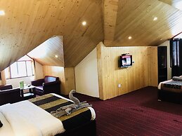 Hotel Hadimba Palace Manali