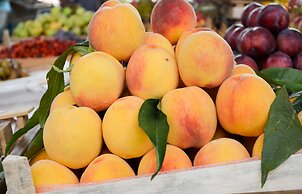 Quality Apartment Miletičova