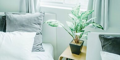 HIPPO Hostel & Cafe Bar