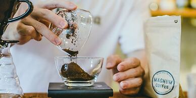 HIPPO Hostel & Cafe Bar