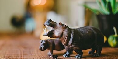 HIPPO Hostel & Cafe Bar