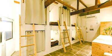 HIPPO Hostel & Cafe Bar