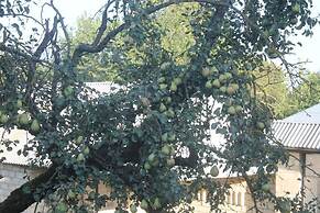 Ismayilli Guest House