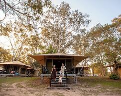 Habitat Noosa Everglades Eco Camp