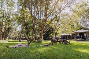 Habitat Noosa Everglades Eco Camp
