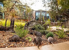 Wildlife Retreat at Taronga