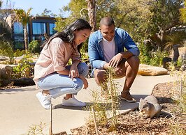Wildlife Retreat at Taronga