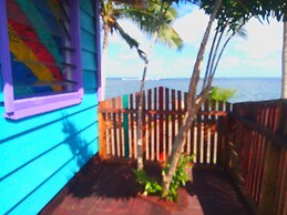 Sina PJ Beach Fales and Surf