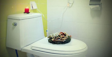 Rooftop Moonlight Pension