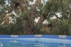 Trullo del Falegname Ostuni by Typney